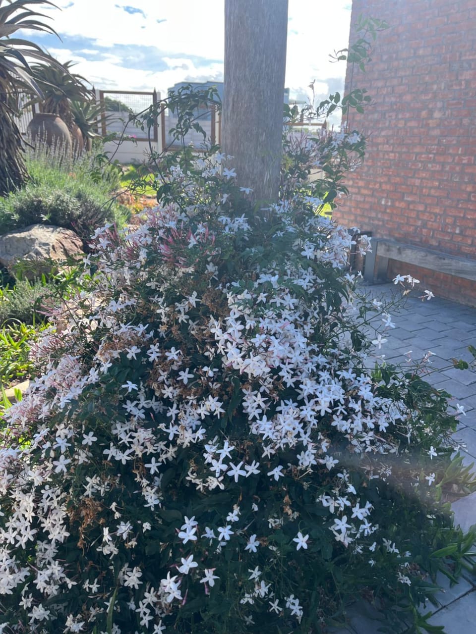 Revival By Hilde Bed and Breakfast in Eastern Cape