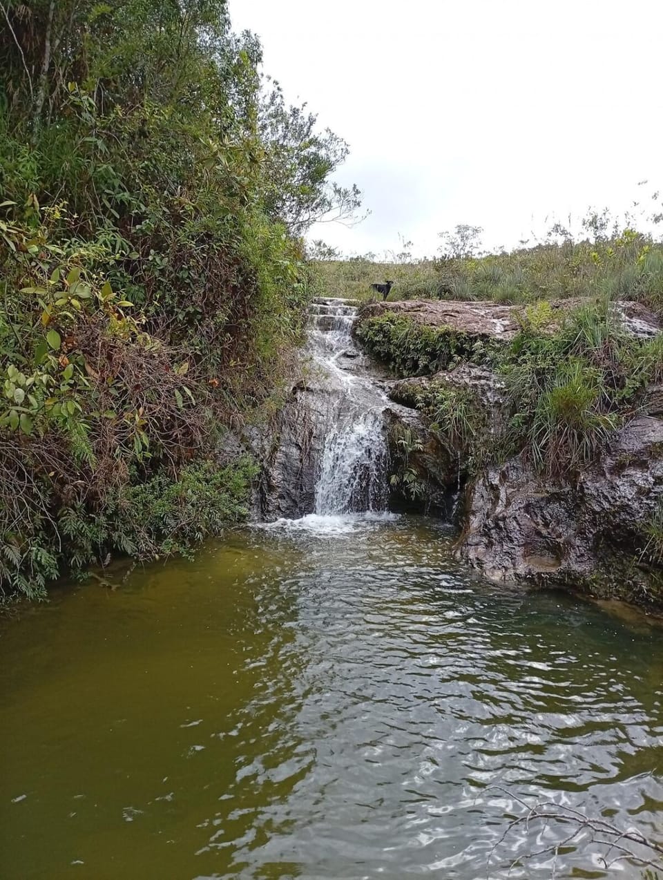 Chalé do Beija Flor House in State of Minas Gerais, Brazil