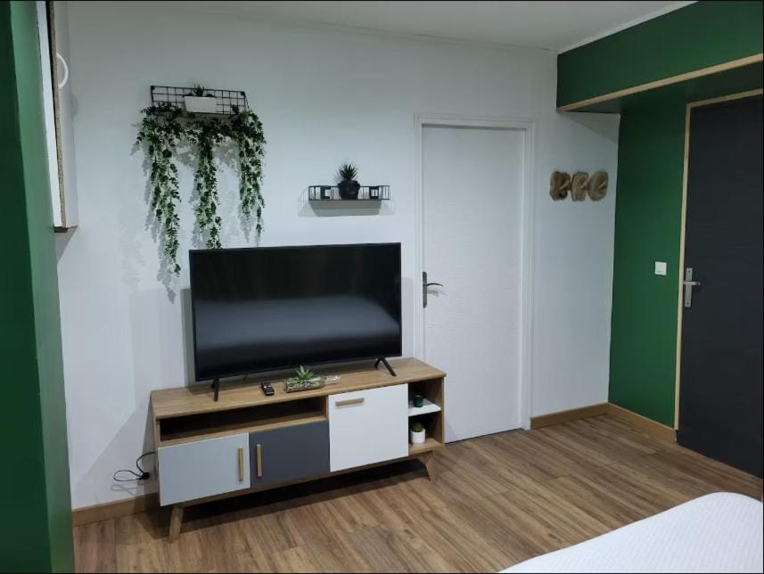 TV and multimedia