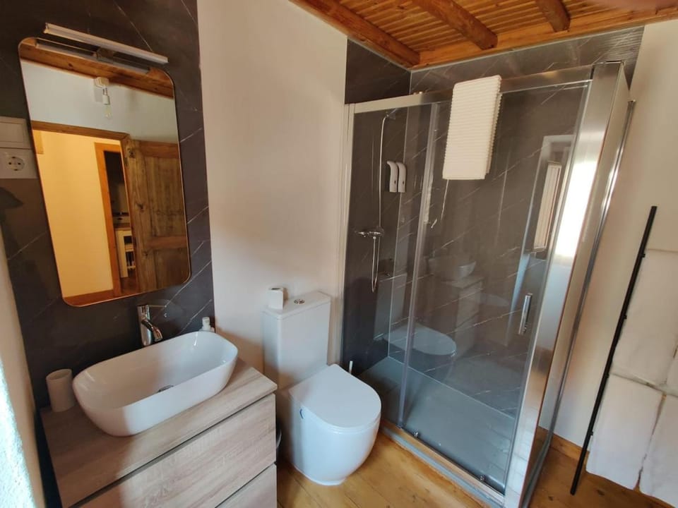 Shower, Toilet, Bathroom, towels