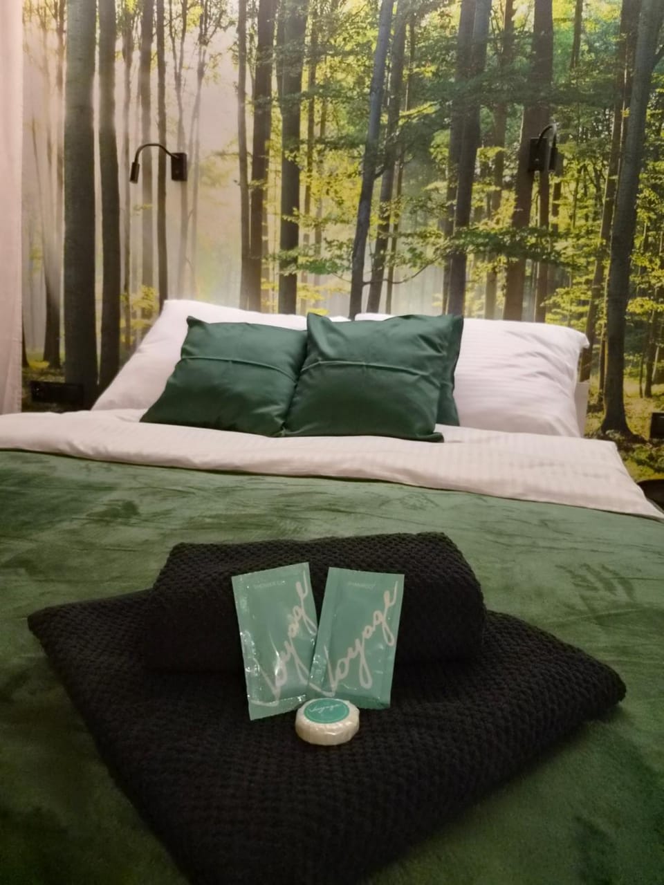 Bed, Photo of the whole room, Bedroom, towels, wardrobe