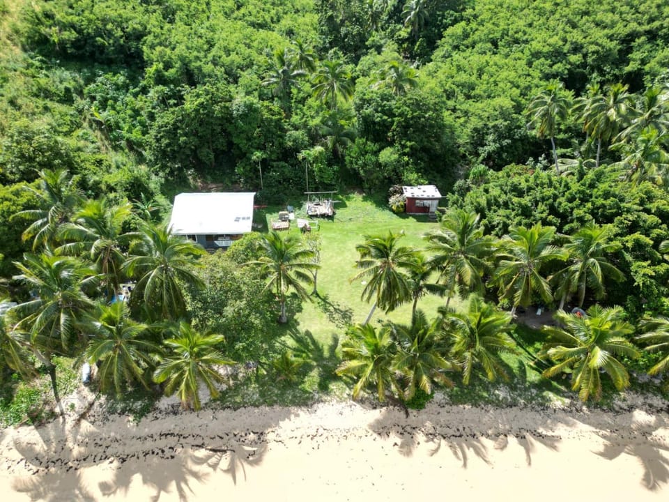 Waya Lagoon Homestay Vacation rental in Western Division, Fiji