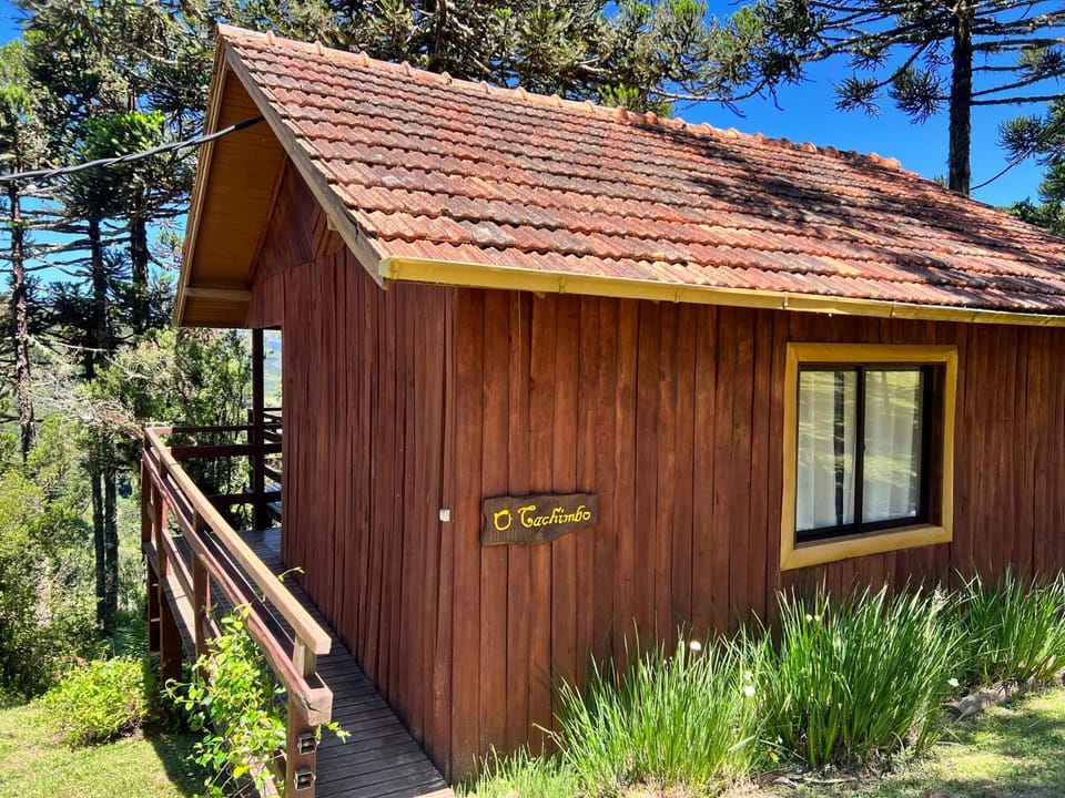 Property building, Garden view