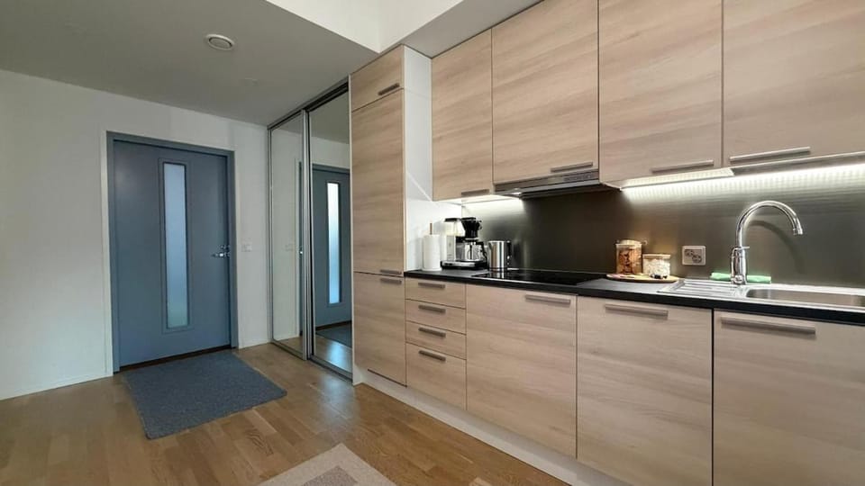 Cozy Studio in the Heart of the City Apartment in Finland