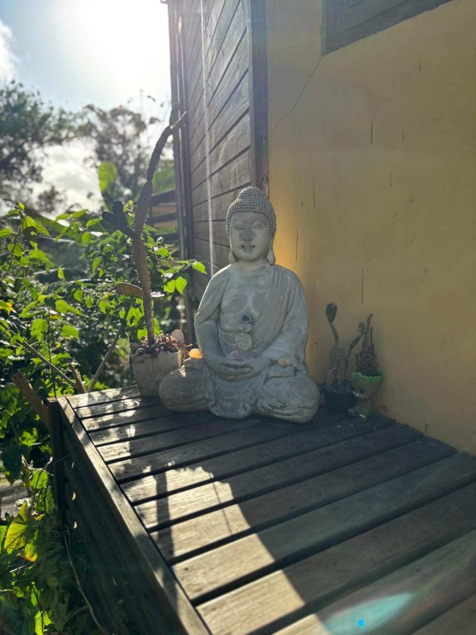 Day, Garden, Garden view