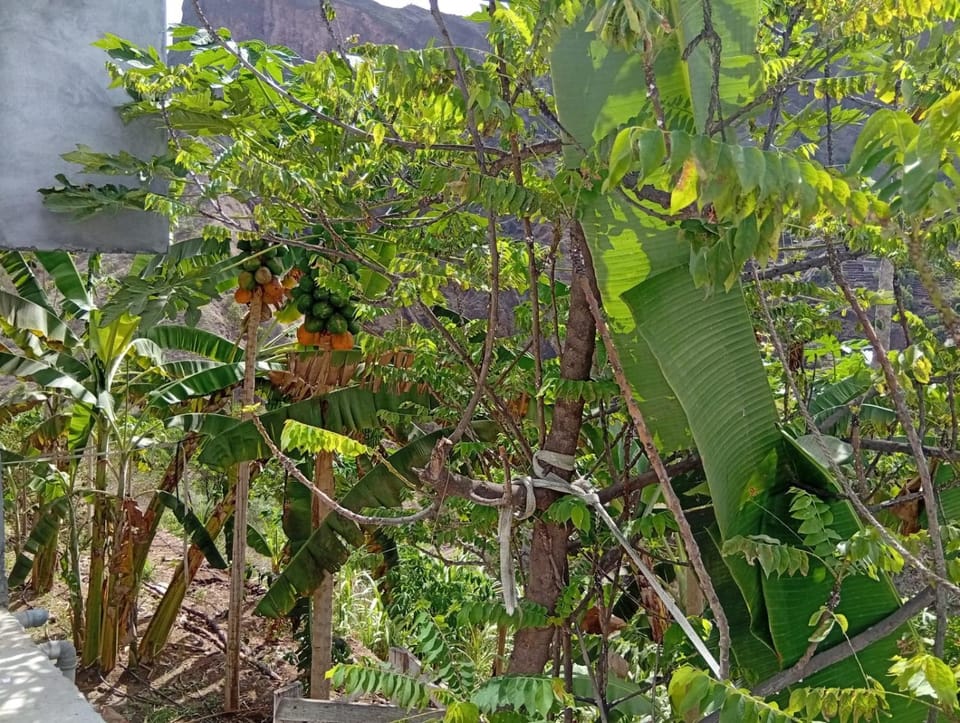 Quinta do Planalto Hotel Farm Stay in Cape Verde