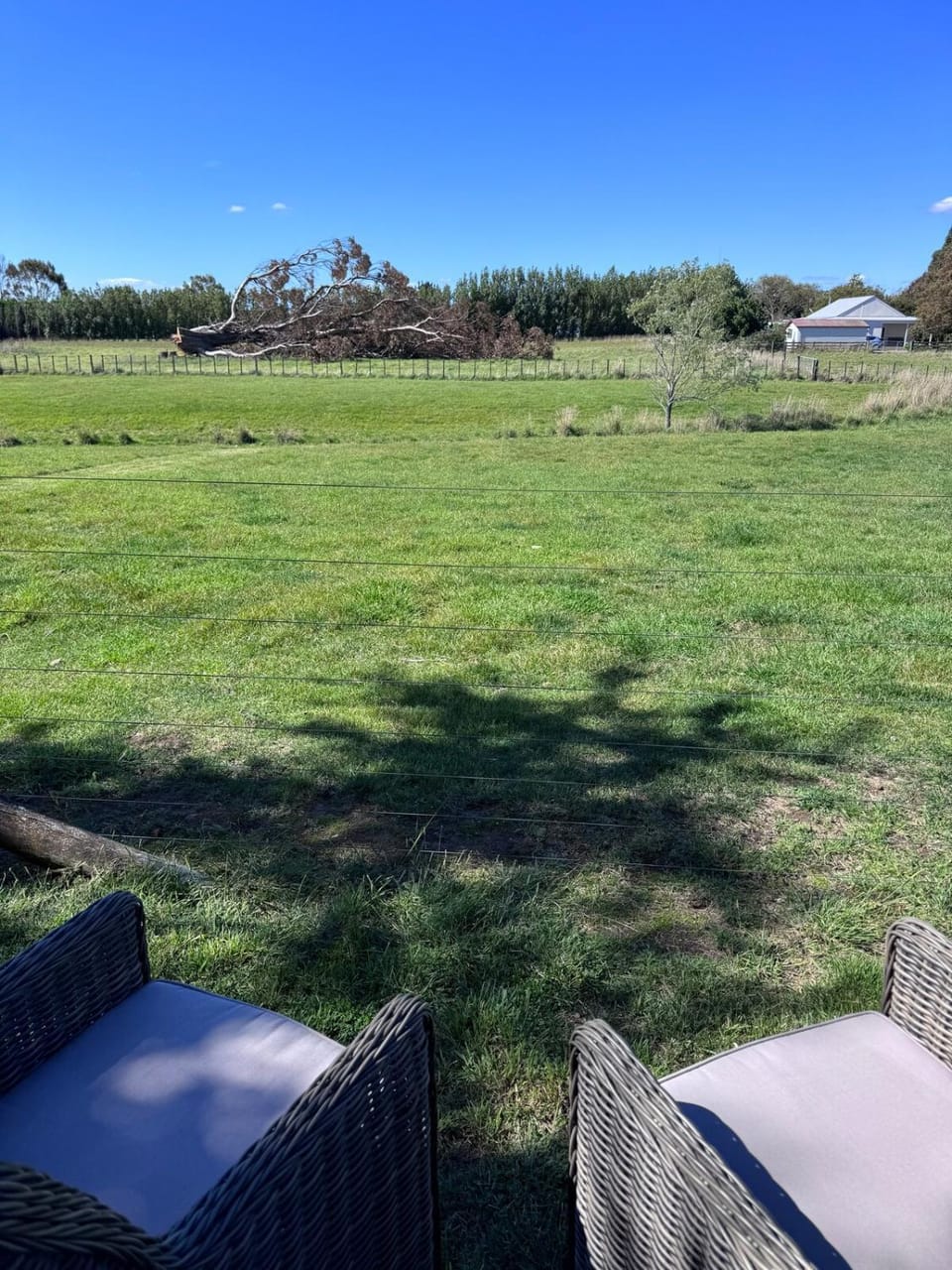The Barn on Campbell Apartment in Martinborough