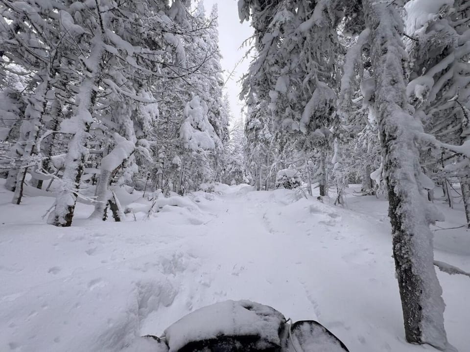 Natural landscape, Winter