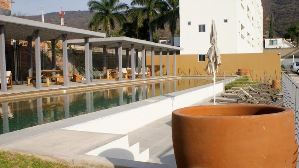 Day, Garden, Swimming pool