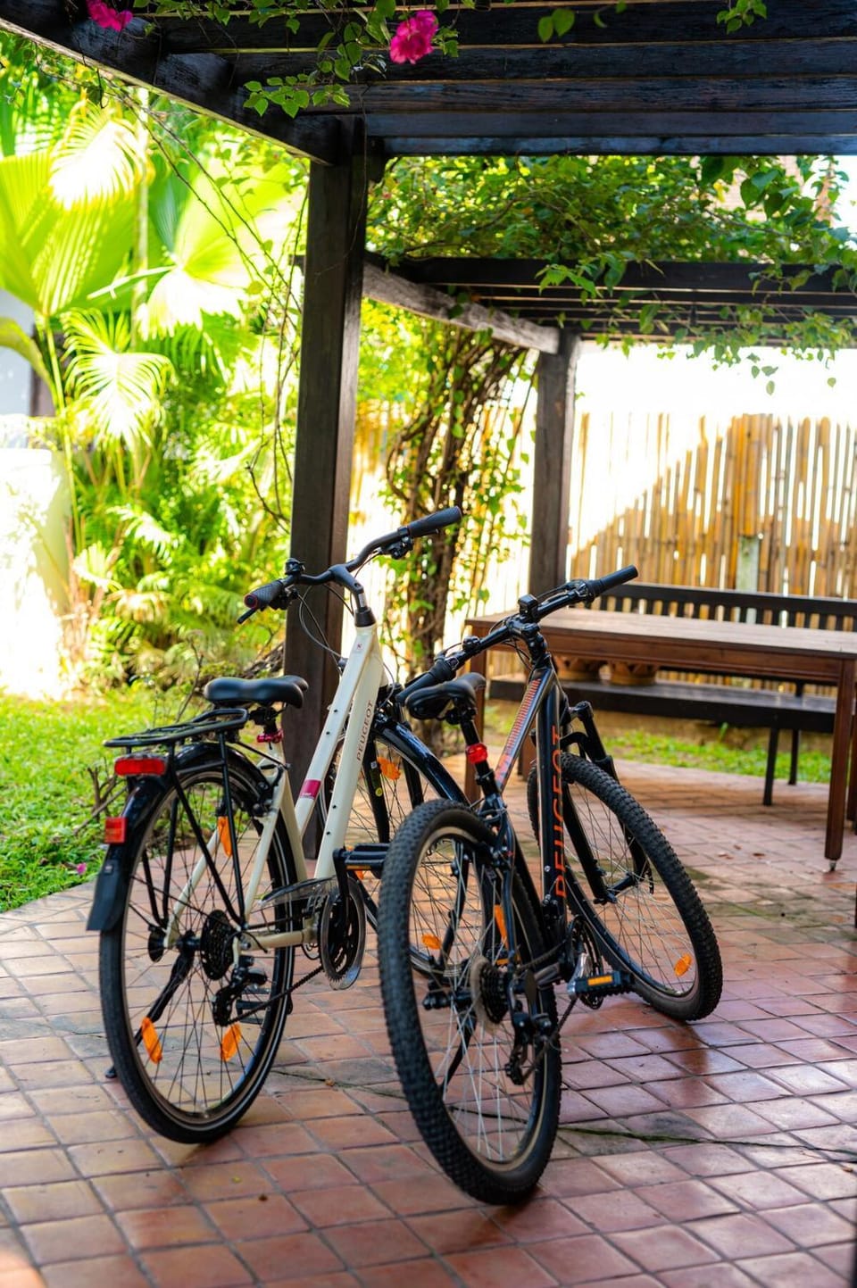 Cycling
