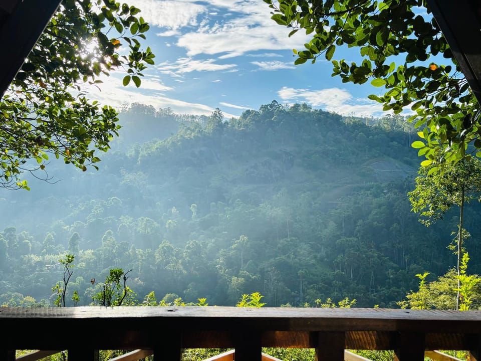 Natural landscape