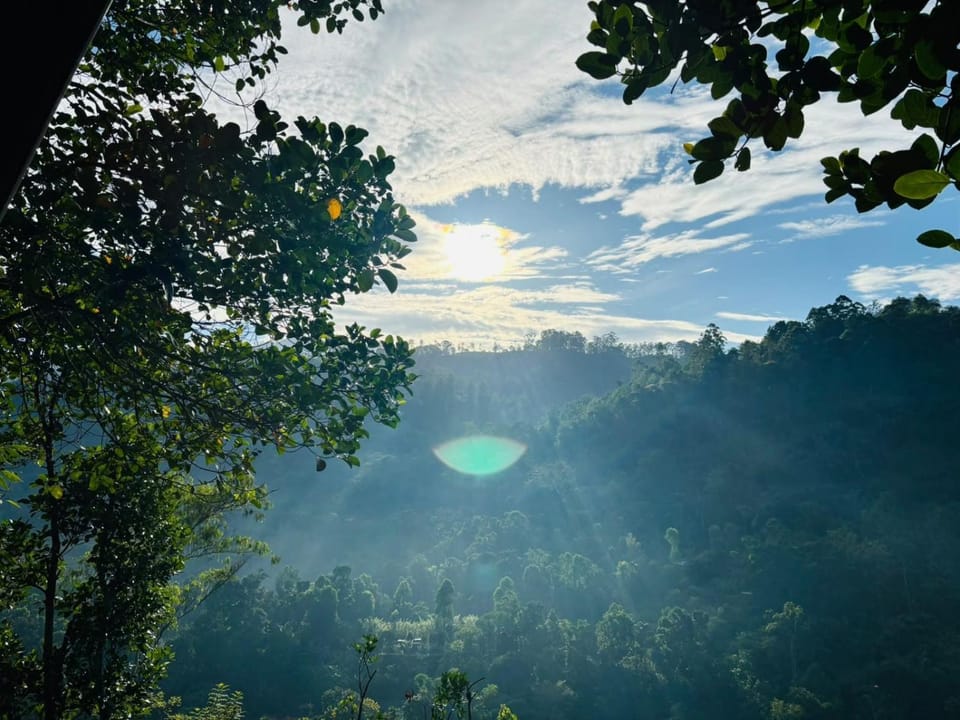 Mountain view