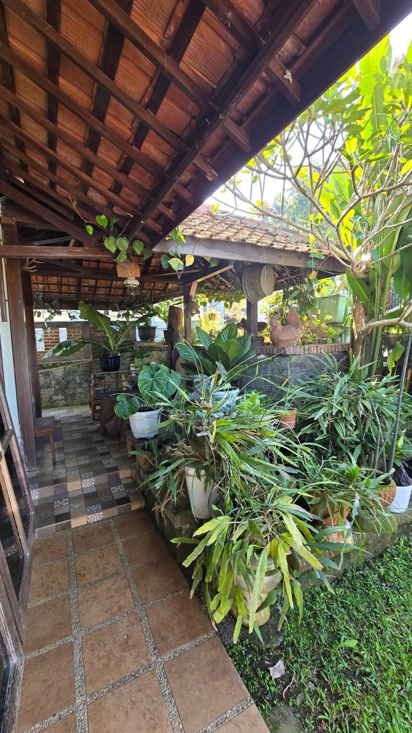 Garden, Balcony/Terrace, Garden view