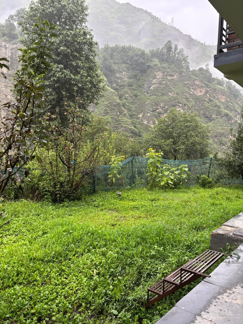 Garden, Garden view