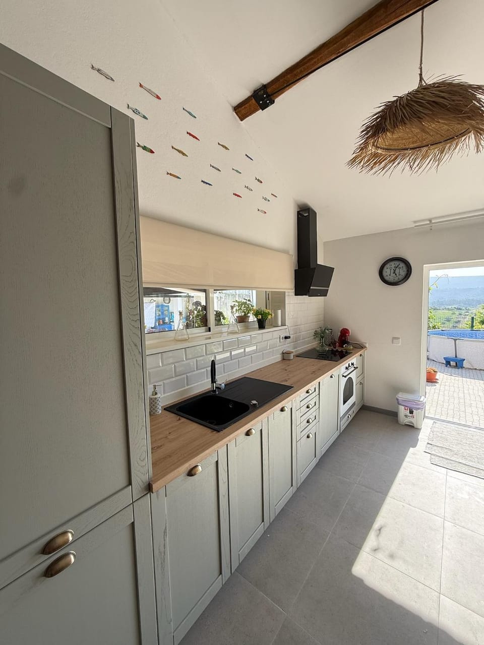 Kitchen or kitchenette, dishwasher, oven, pet friendly, stove