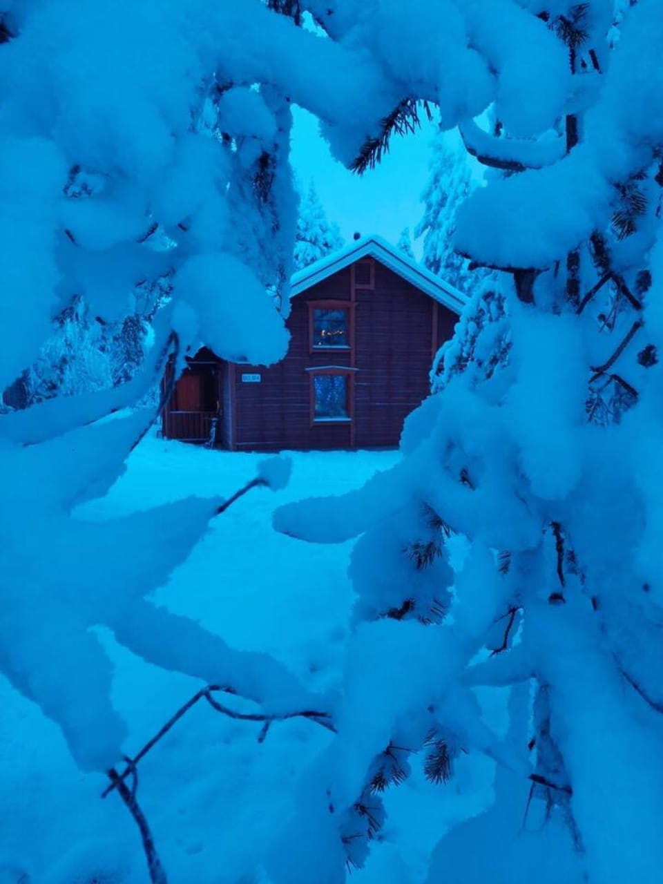 Property building, Winter