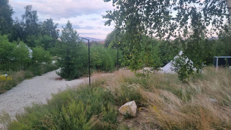 Sambodhi Village Retreat - Glamping, Yoga & Meditation, Luxury tent in Romania