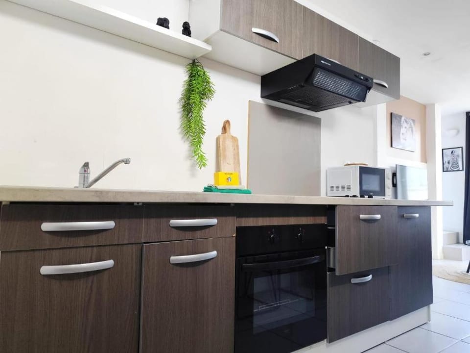 Duplex Cosy Jungle 50m2 2 salles d'eau parking à proximité Netflix proche Bordeaux 5 min gare Apartment in Nouvelle-Aquitaine