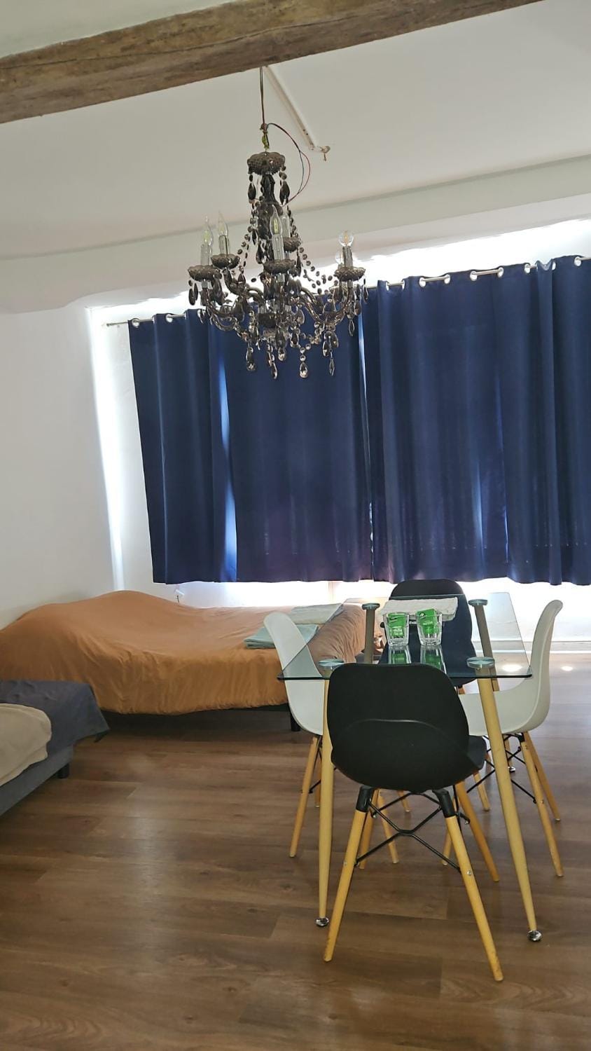 Grand studio 4 voyageurs face Gare Lille-Flandres Apartment in Lille