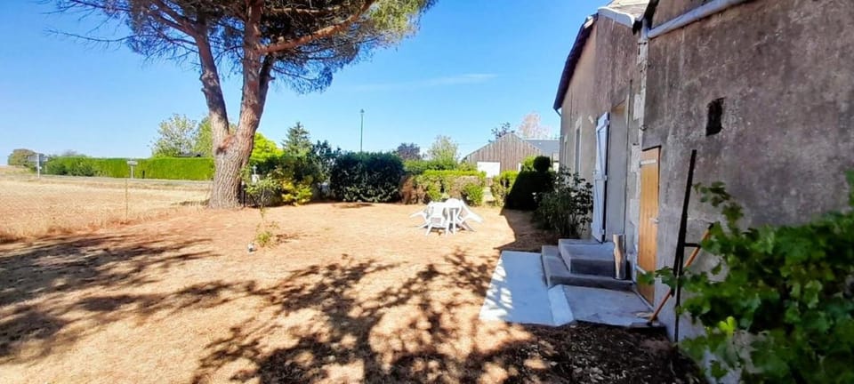 Patio, Garden, Garden view