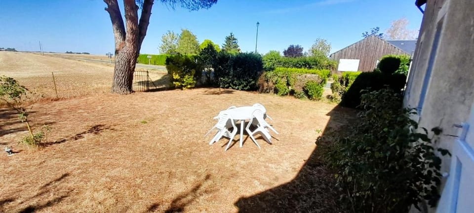 Patio, Garden, Garden view