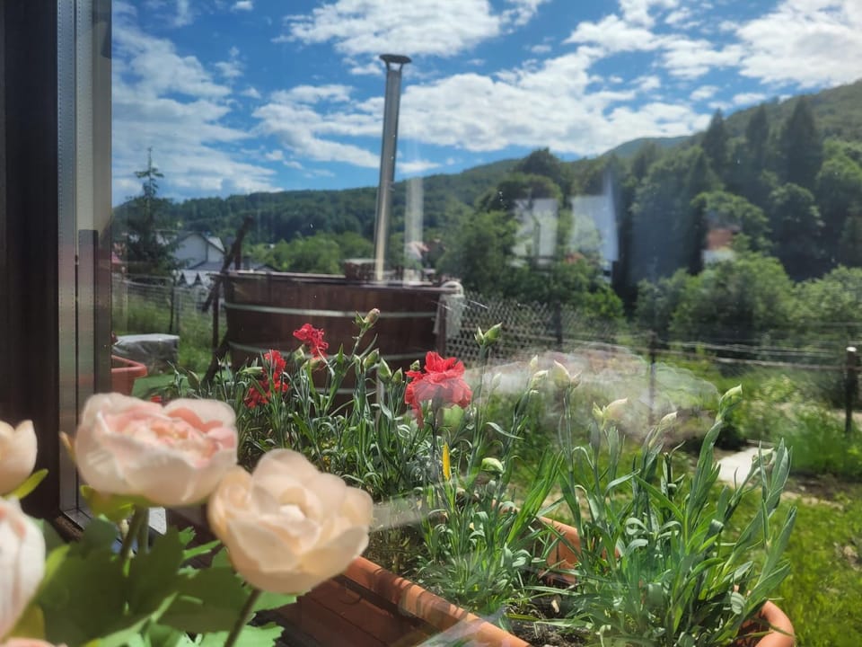 Cabana Poarta Zaganului Hotel in Prahova, Romania