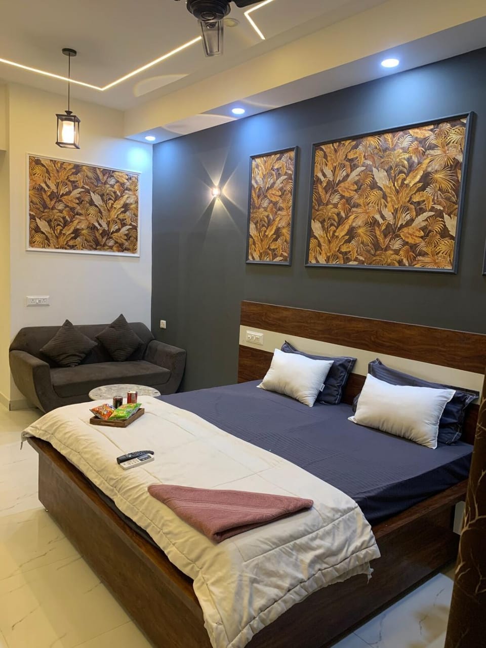 Luxury Couple Friendly Studio Gaur City Noida Apartment in Noida