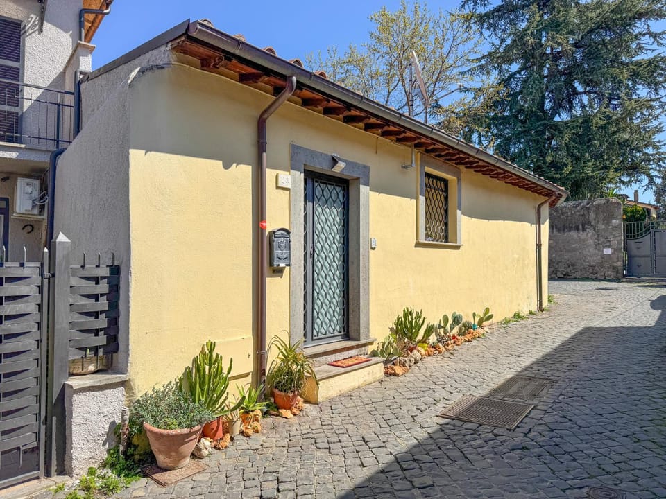 Property building, Neighbourhood, Street view