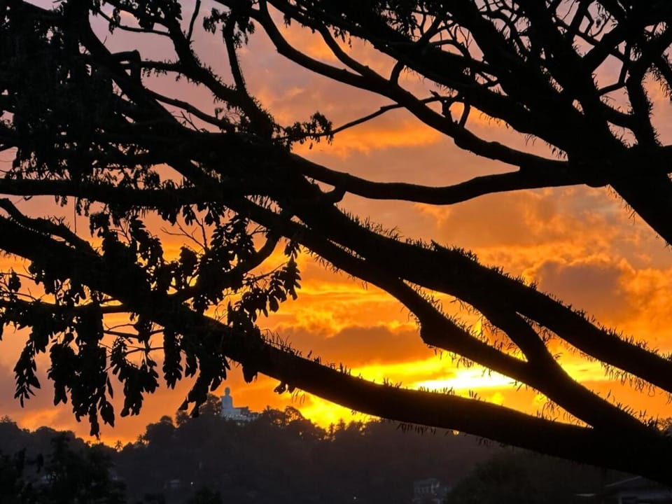 Natural landscape, Sunset