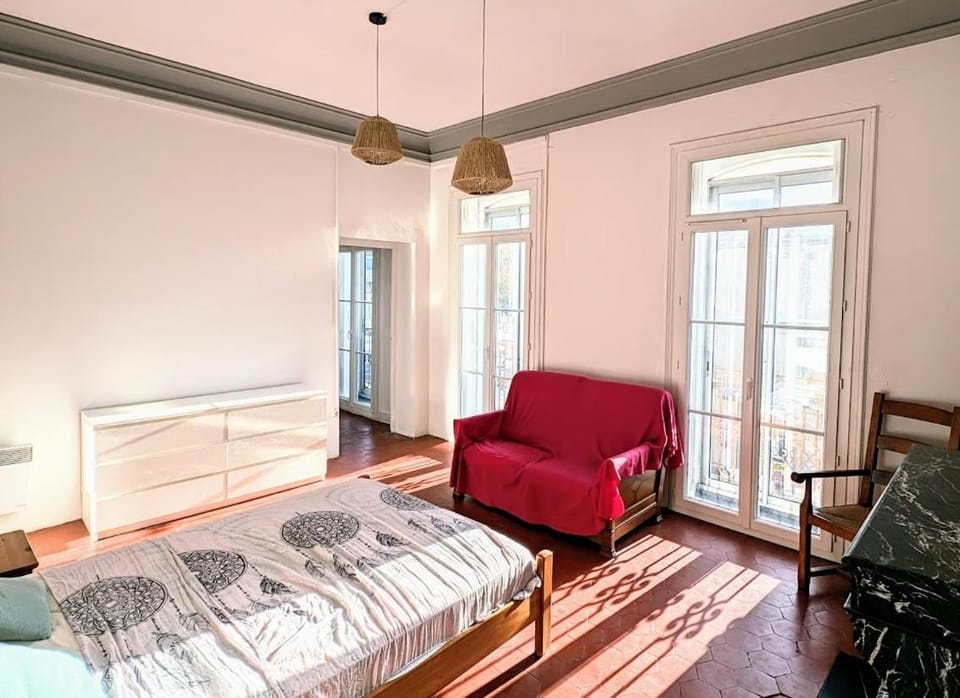 grand appartement lumineux Apartment in Occitanie