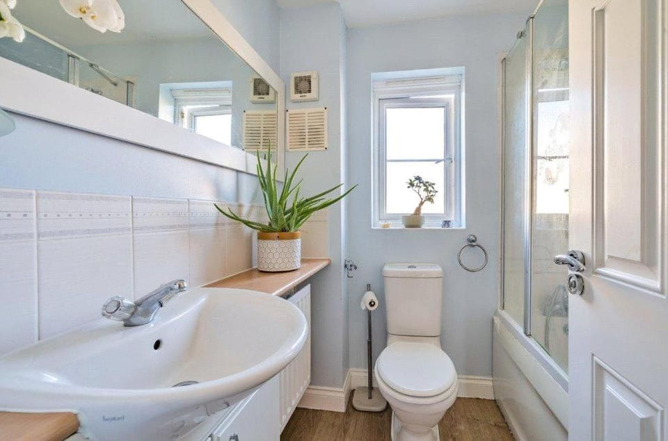 Shower, Toilet, Bathroom, Bath, towels