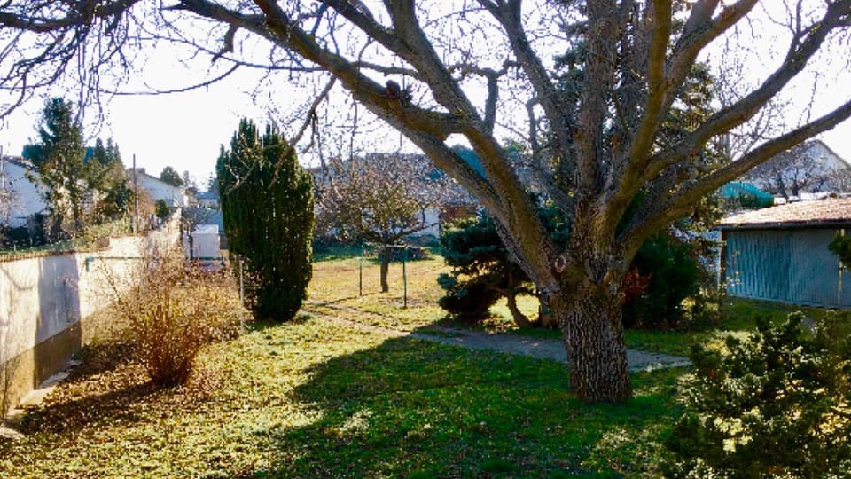 Garden, Inner courtyard view