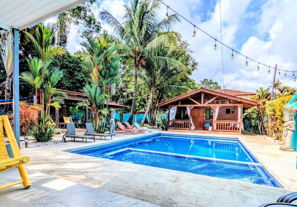 Property building, Patio, Day, Garden, Garden view, Pool view, Swimming pool, sunbed