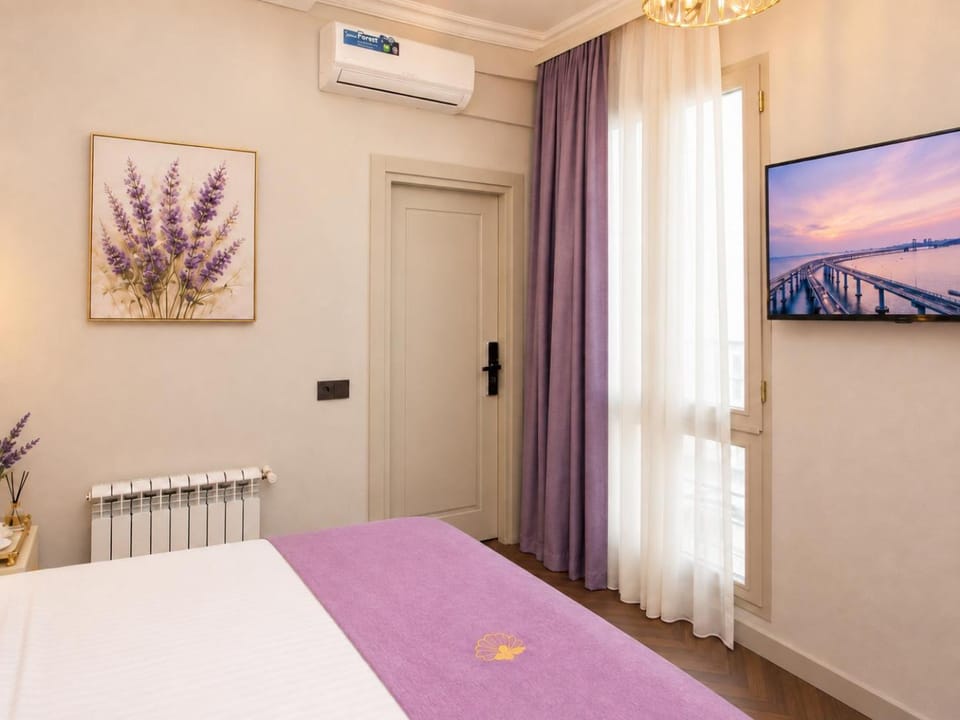 Bed, TV and multimedia
