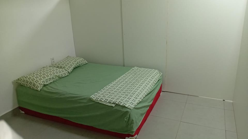Casa Rosa do Teatro Amazonas Bed and Breakfast in Manaus