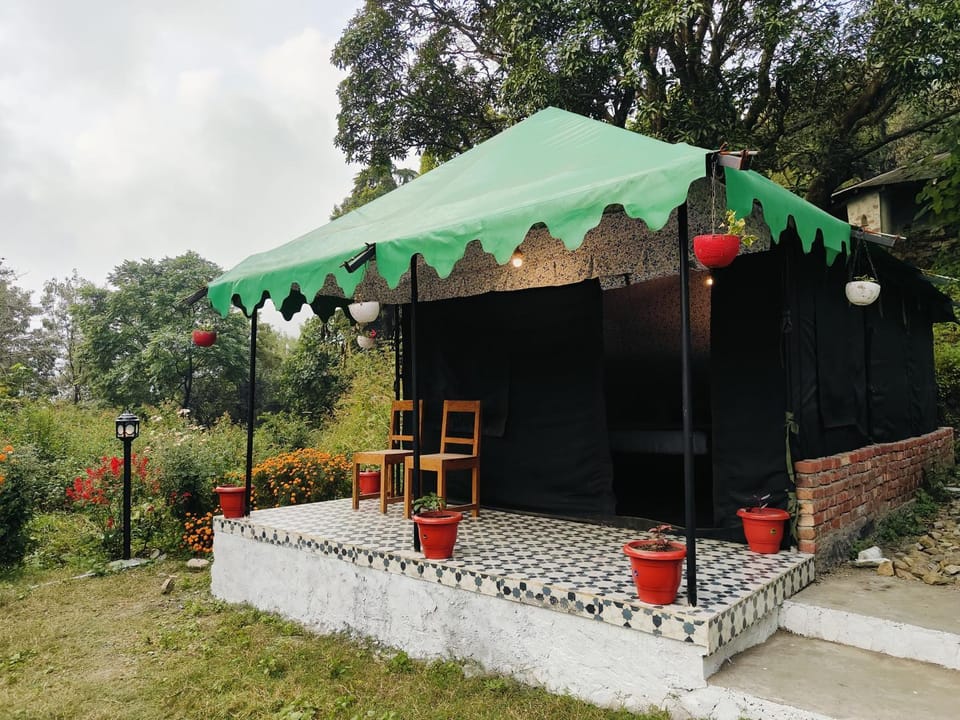 The Mist & Pine Hotel in Uttarakhand