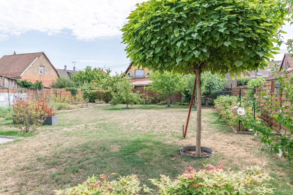 Spring, Day, Natural landscape, Garden, Garden, Garden view