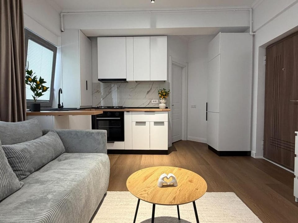 Modern Apartment 5 min Metro Near Victoriei Apartment in Bucharest