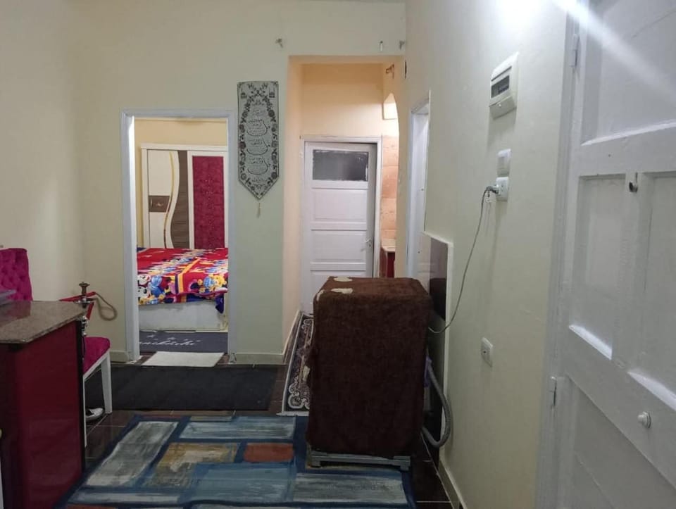 شقه بندق Apartment in Luxor Governorate