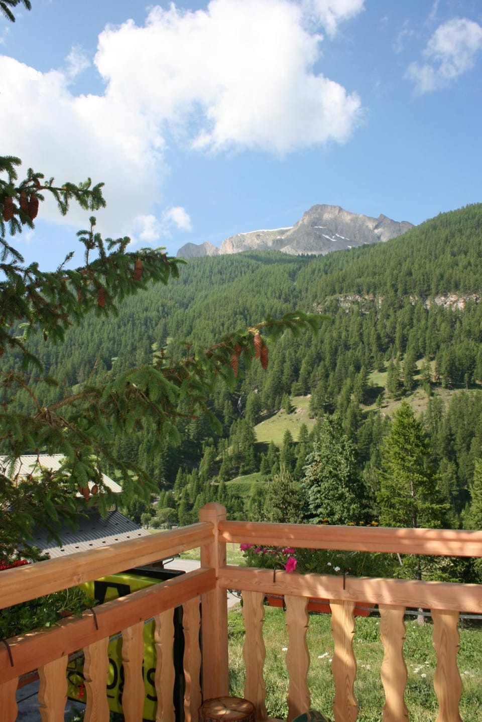View (from property/room)