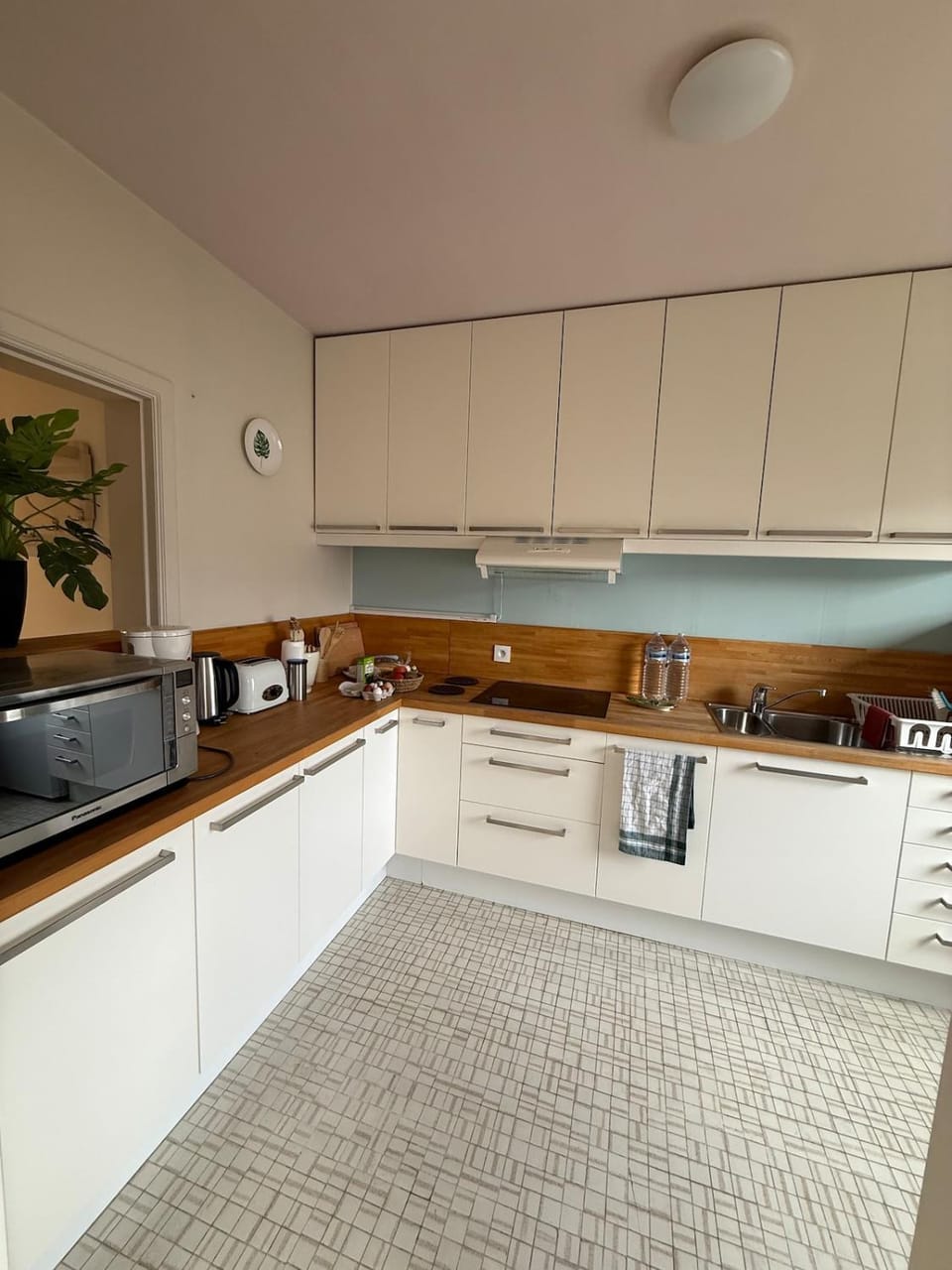 Monstera Apartment in Flanders