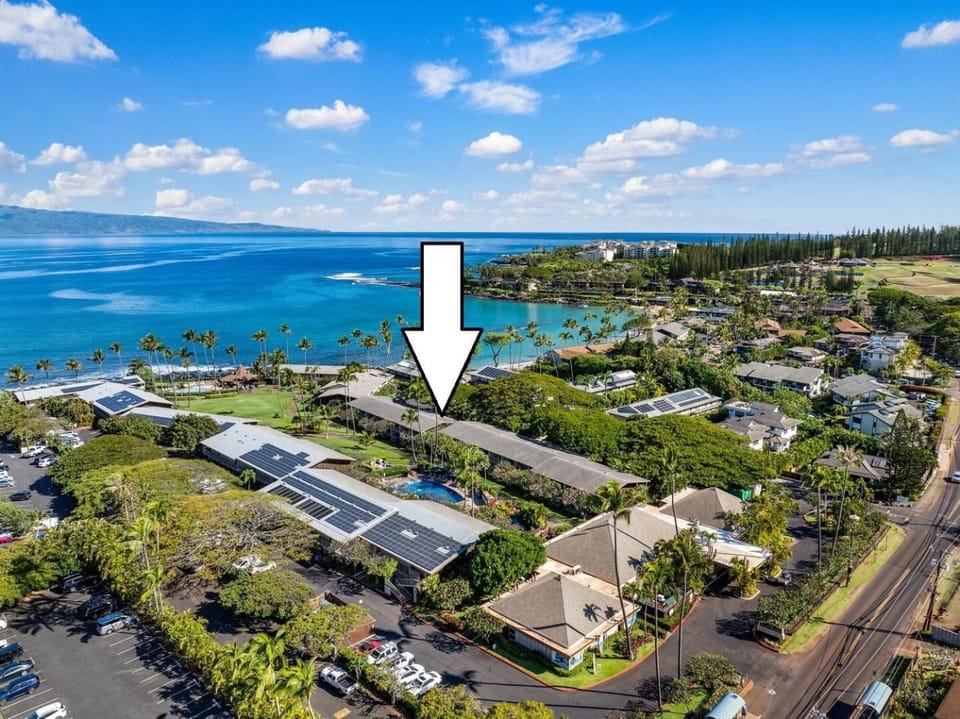New Listing! Cozy studio for 4 in steps from the beach - Napili Shores C120 House in Kapalua