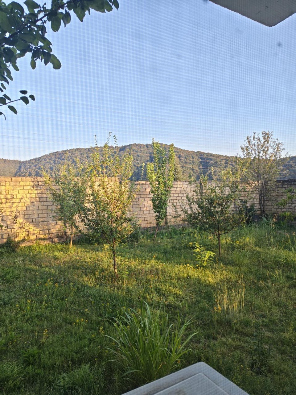 Garden, Garden view