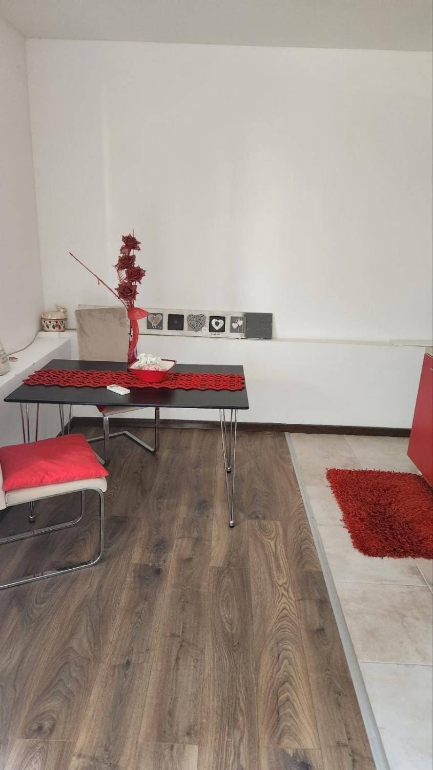 Zvrndo Apartment in Podgorica