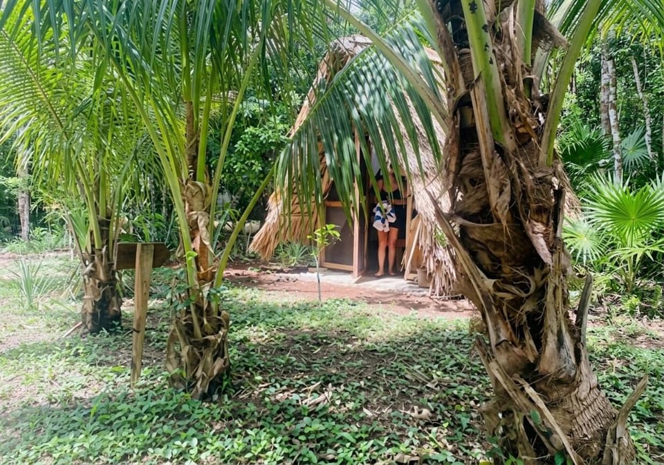 Coco Hause Farm Stay in Corozal District