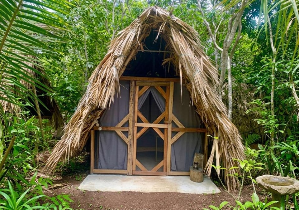 Coco Hause Farm Stay in Corozal District