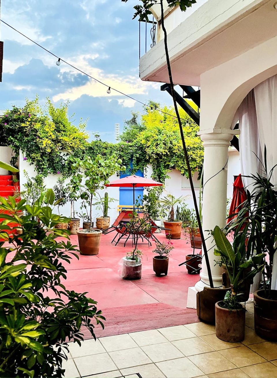 Patio, Garden