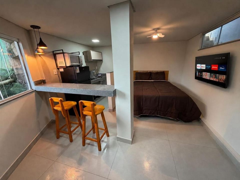 Aris Studio Apartment Apartment in Ouro Preto