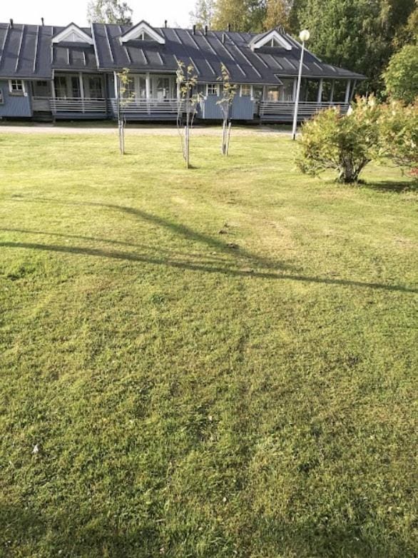 Day, Garden, Garden view