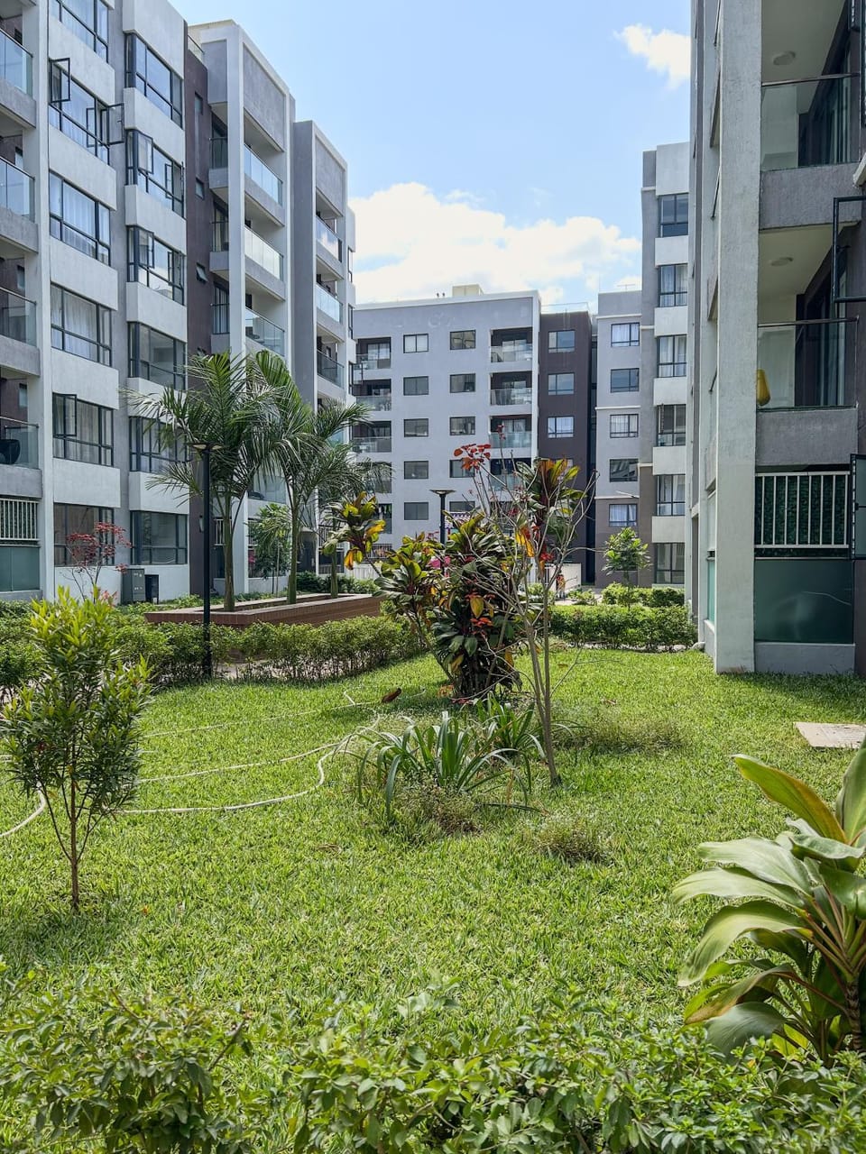 Property building, Day, Garden view